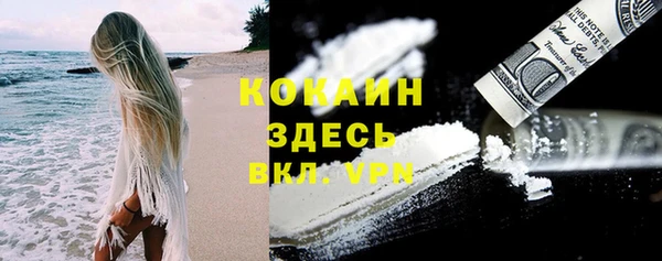 трава Беломорск